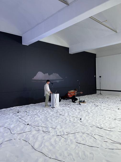 CRYSTAL CARPET PERFORMANCE